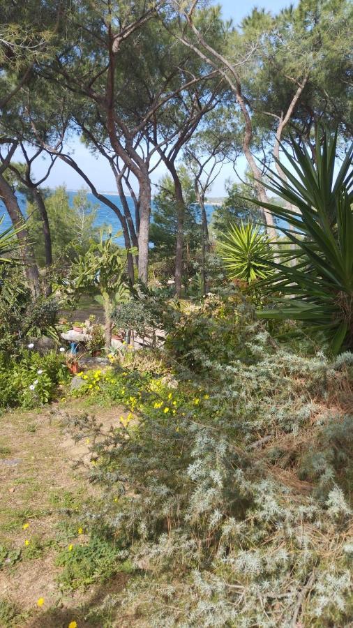 Casa Vacanze Cettina Home 3 Mt 50 Dal Mare Terra Mala Esterno foto